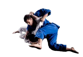 Adult Brazilian Jiu Jitsu